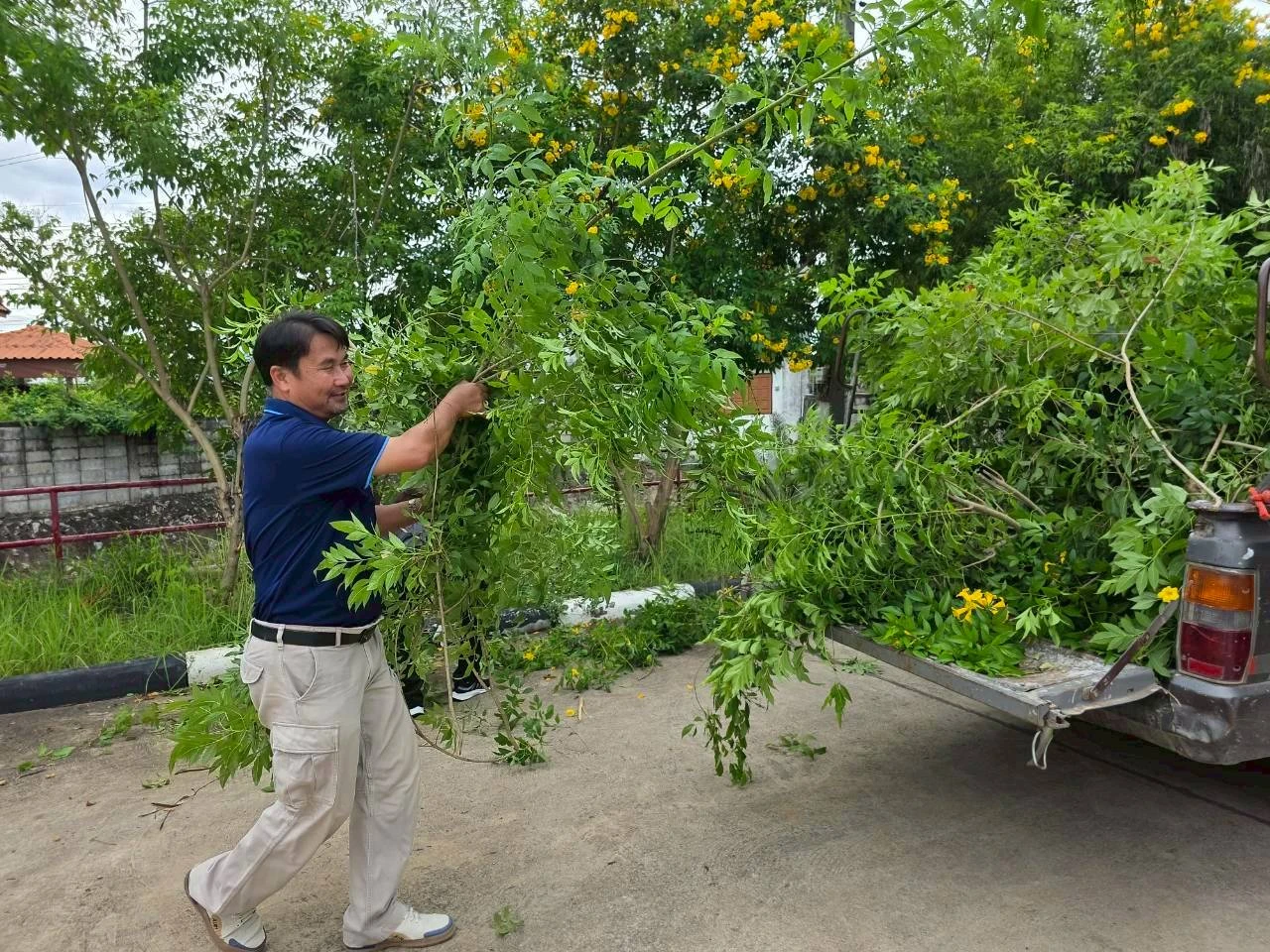 catalogs_file_397_43_13_780600.webp