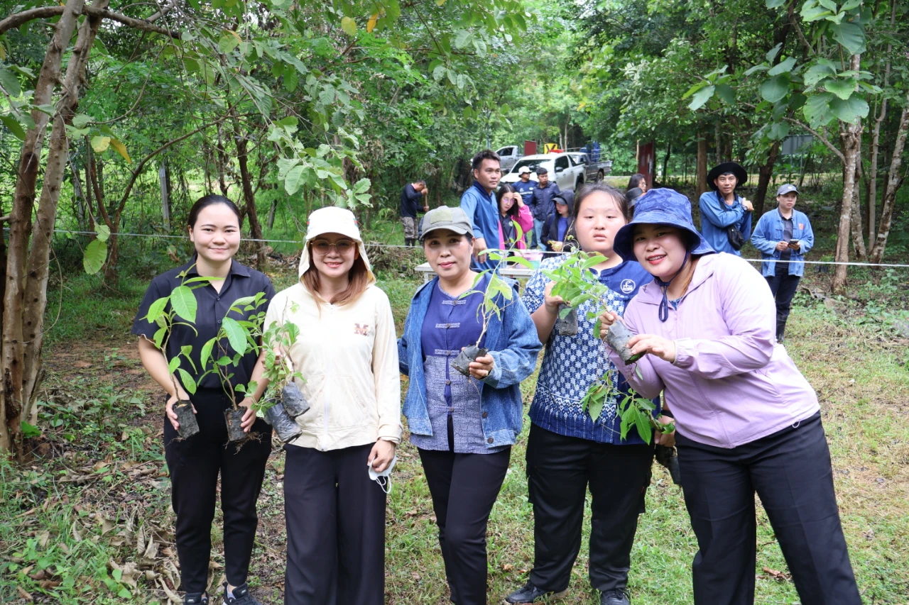 catalogs_file_431_26_39_694992.webp
